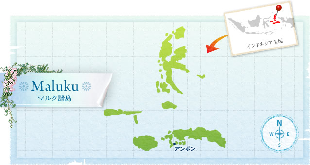 地図：マルク諸島の観光案内