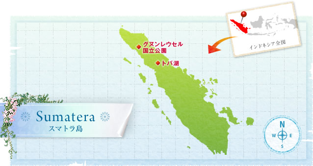 地図：スマトラ島の観光案内(トバ湖、グヌンレウセル国立公園)